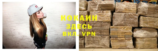 тгк Абаза