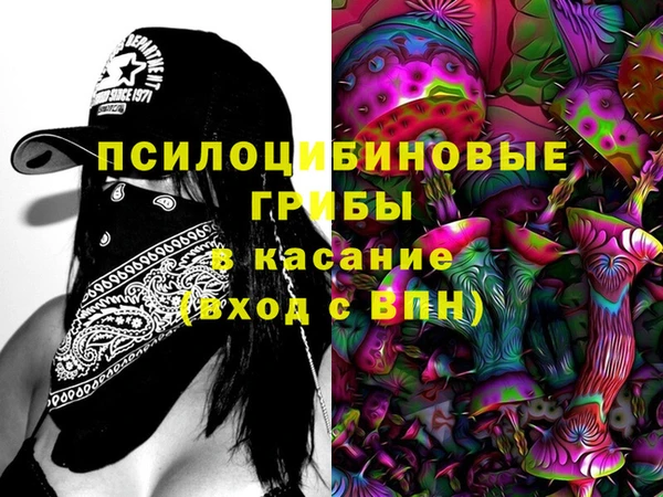 стаф Алзамай