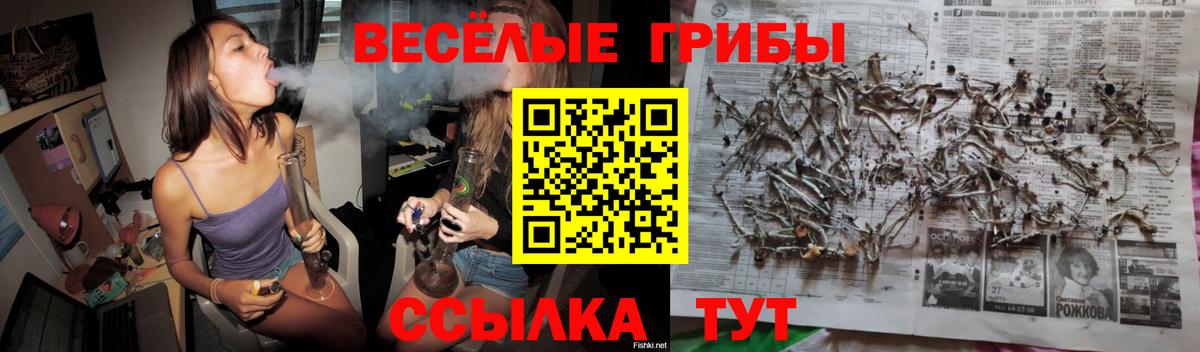 Псилоцибиновые грибы Psilocybe Рубцовск